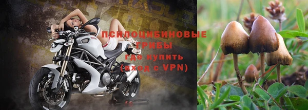 прущие крисы Абдулино